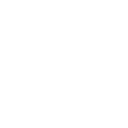 Vision